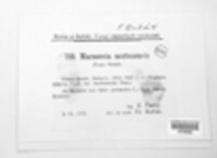 Marssonina santonensis image